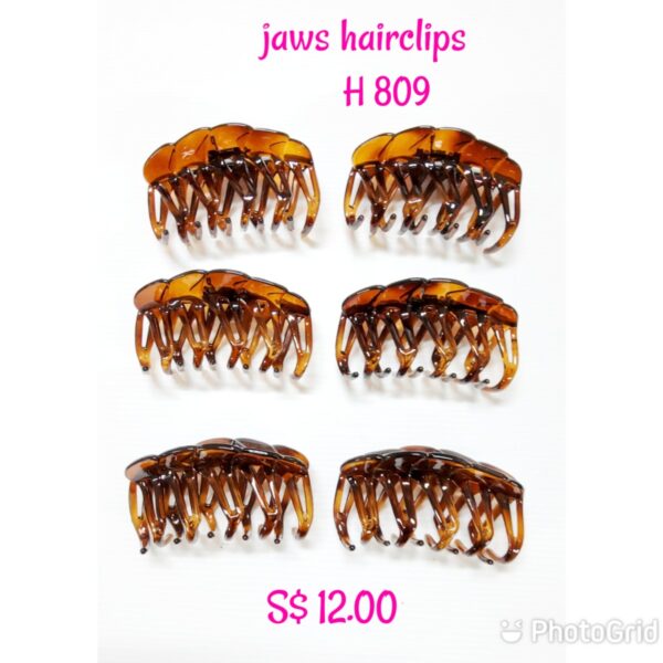 Shining brown jaws hairclips H 809.