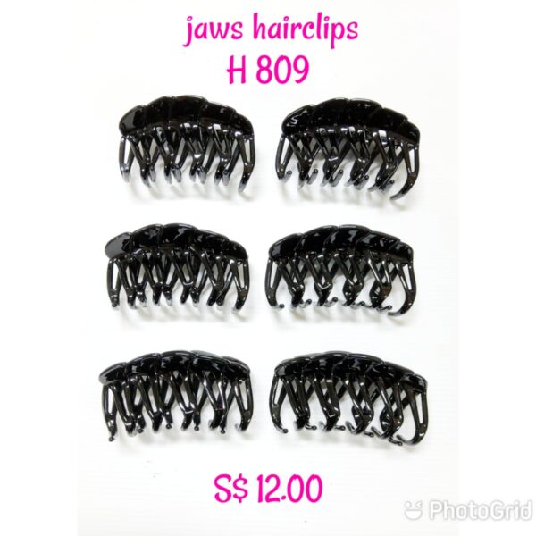 Shining black jaws hairclips H 809.